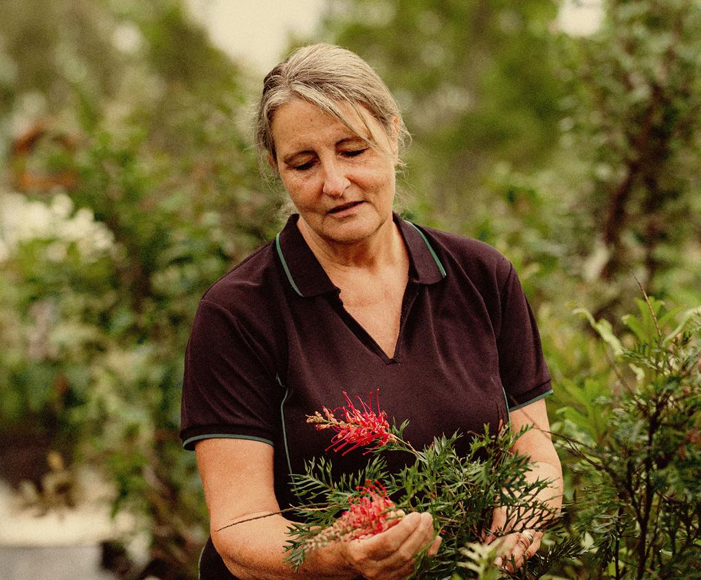 Plant native Australian plants, they thrive in dry conditions, creating a water 