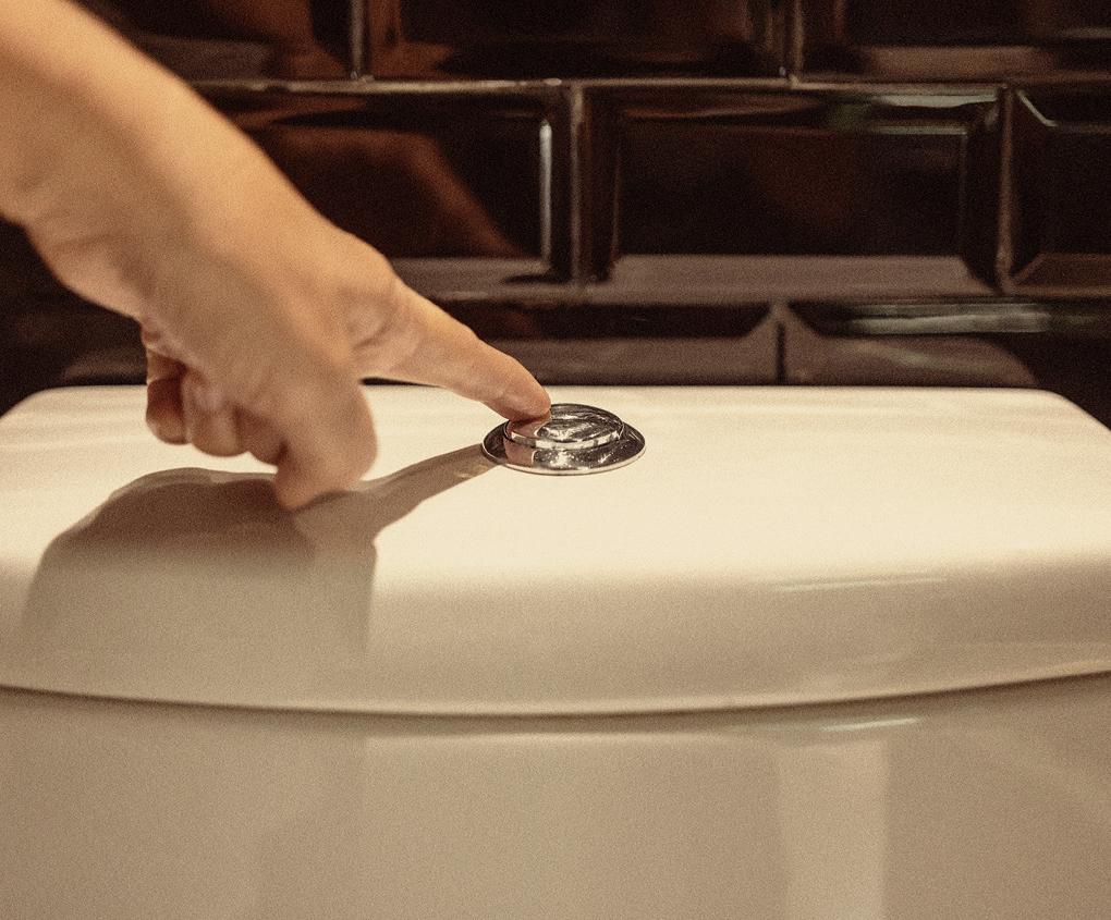 Hit the half-flush button whenever you can to save thousands of litres every yea